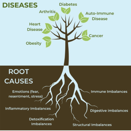 Tree Visual of Diseases and Their Root Causes