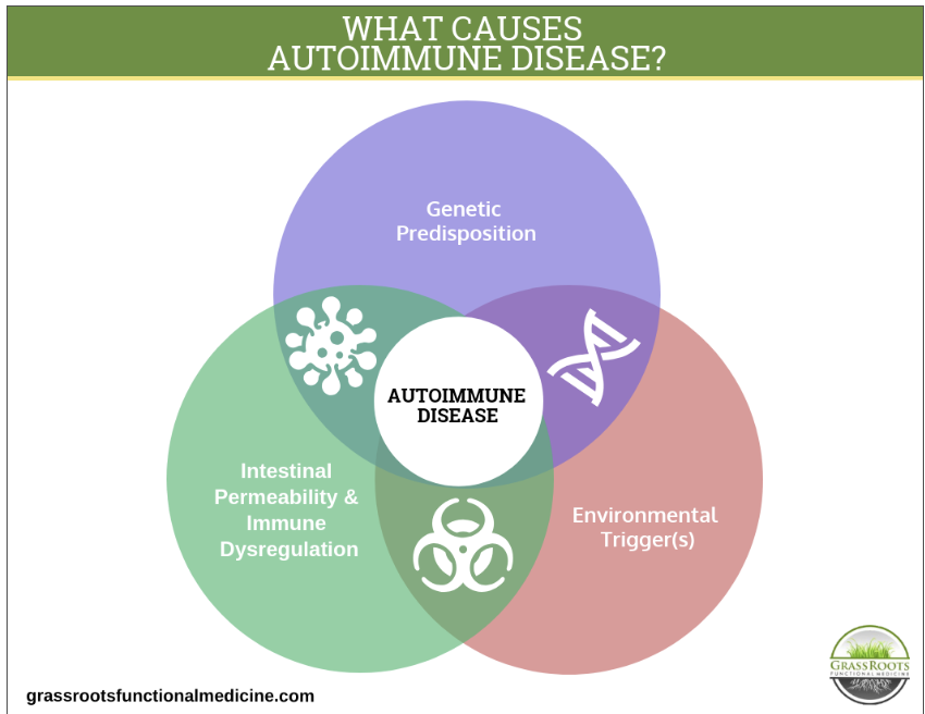 Three categories of causes for autoimmune diseases