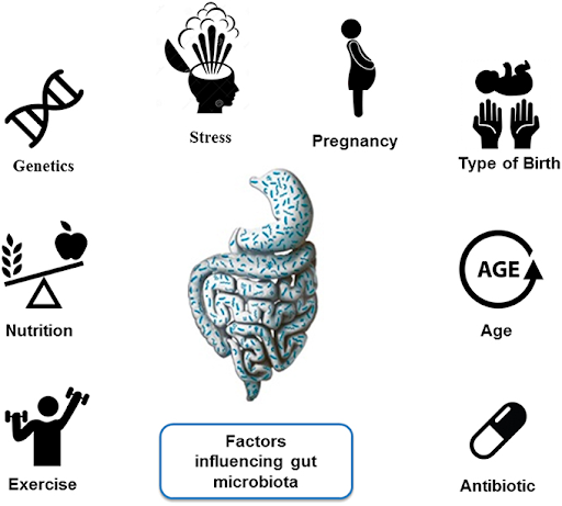 Factors affecting gut microbiota