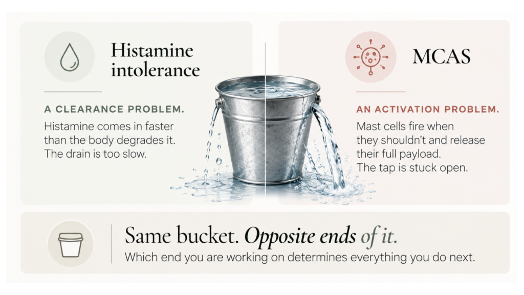 Overflowing histamine bucket: you are not reacting to everything, you are living at the top of your bucket