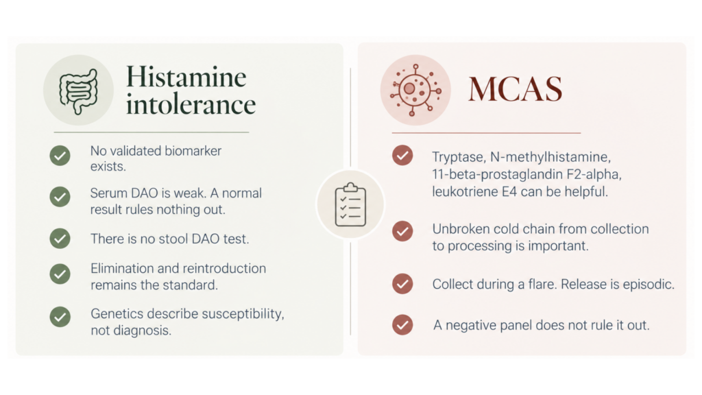 Histamine intolerance is a clearance problem while MCAS is an activation problem